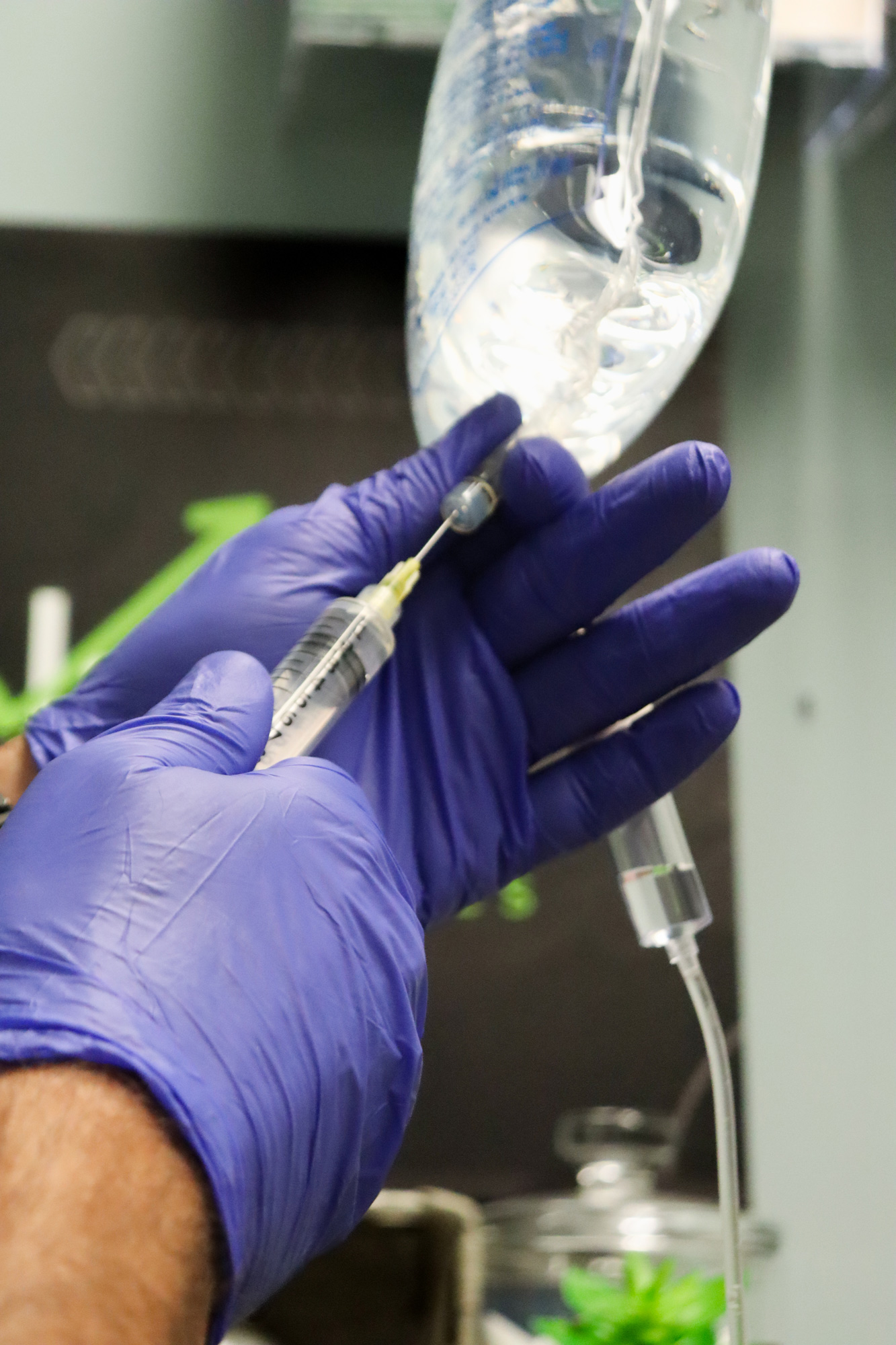Licensed medical professional in purple gloves preparing Immune Support IV Drips with sterile technique at Peak Performance Wellness in Johnson City, TN